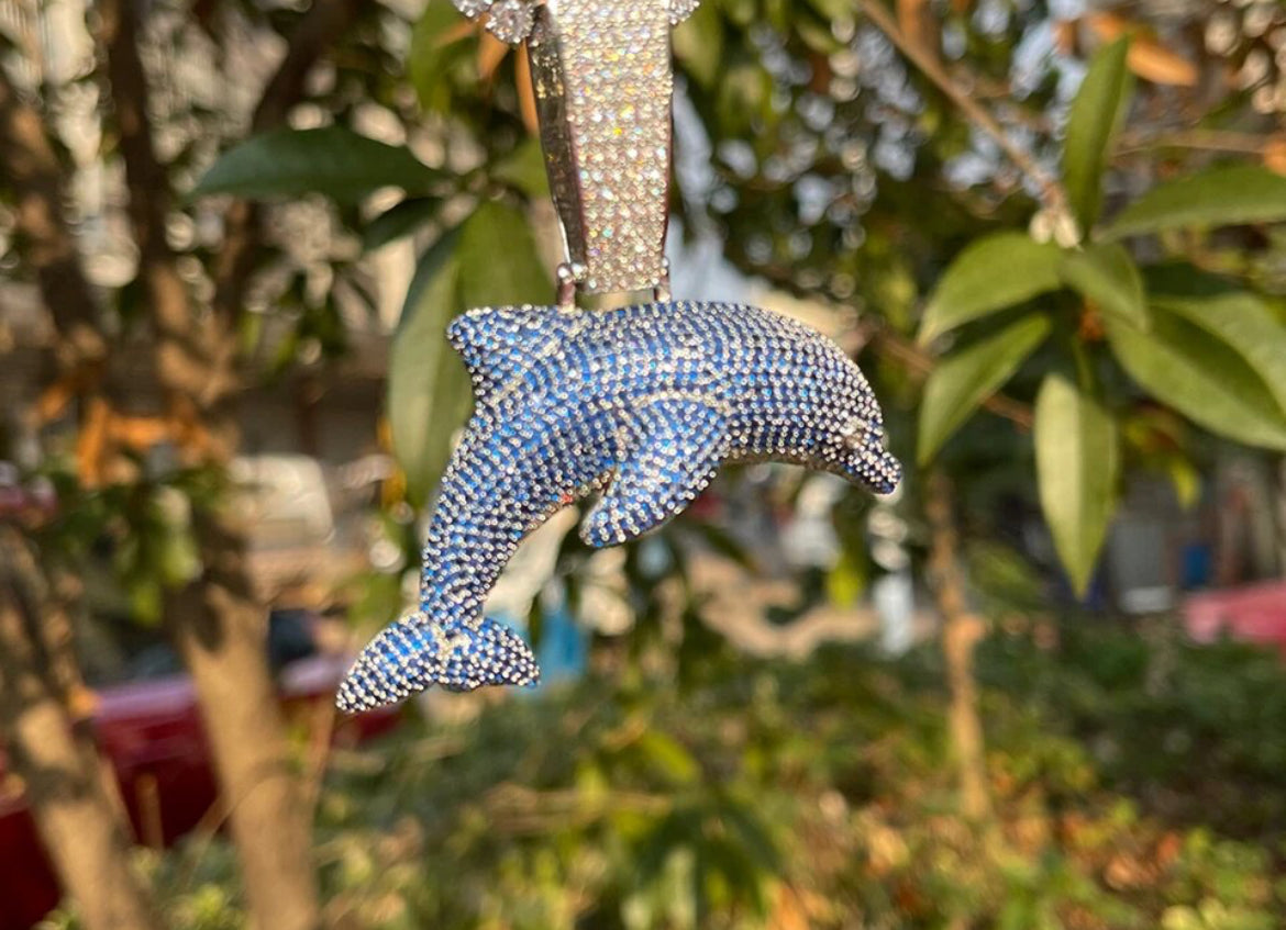 Dolphin Chain