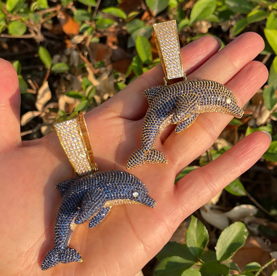 Dolphin Chain