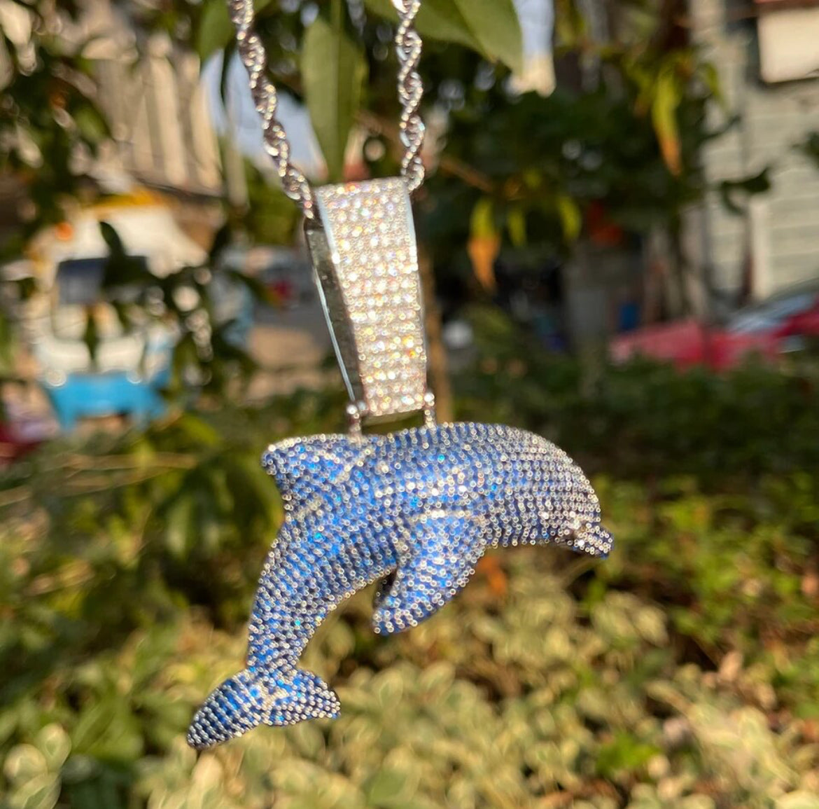 Dolphin Chain